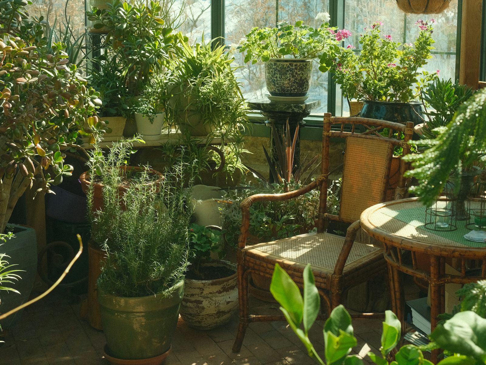 Invernadero soleado con plantas verdes en macetas, un sillón de mimbre y una mesa